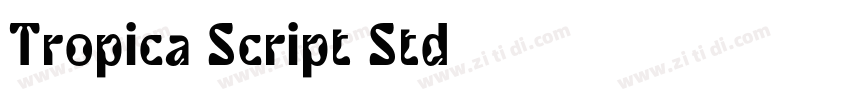 Tropica Script Std字体转换
